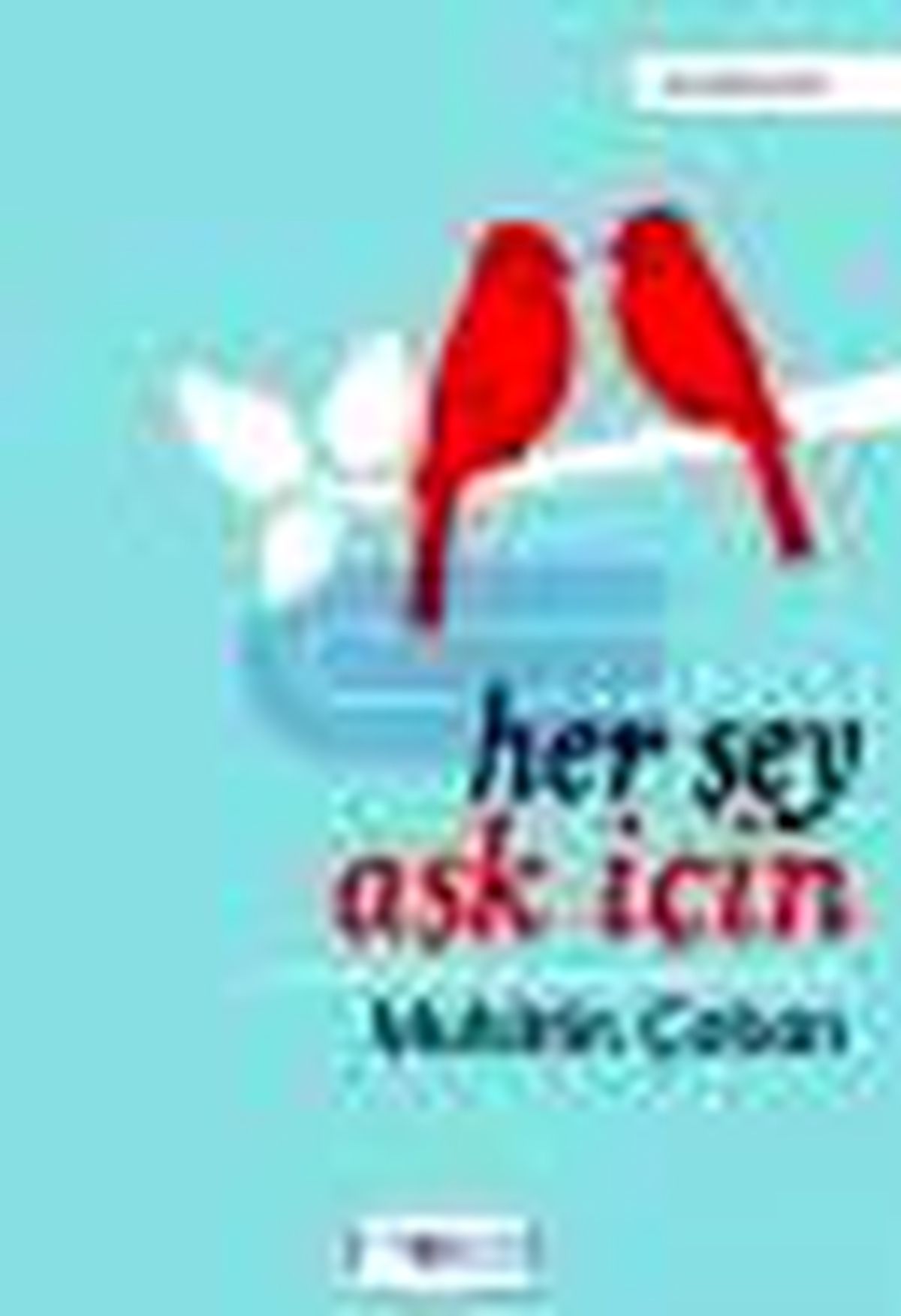 Her Şey Aşk İçin Kitabı