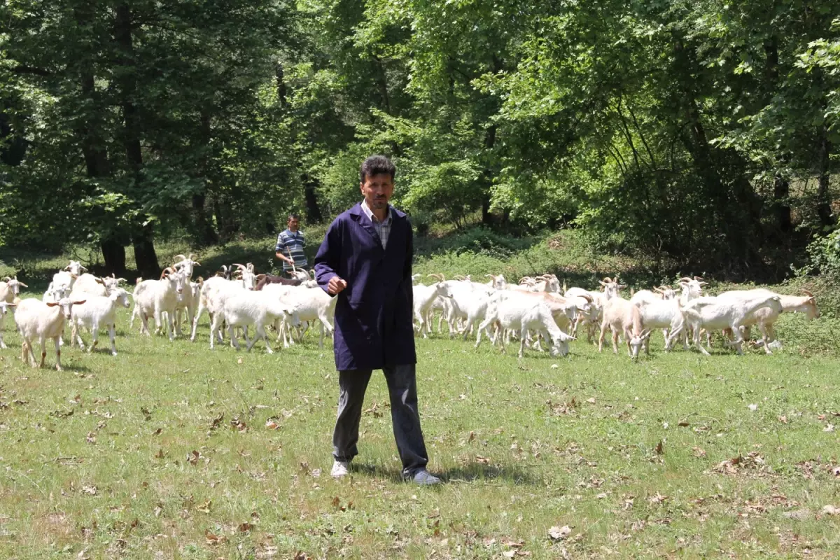 İnternet Ortamında Öğrendiği Keçi Yetiştiriciliğiyle Çiftlik Kurdu