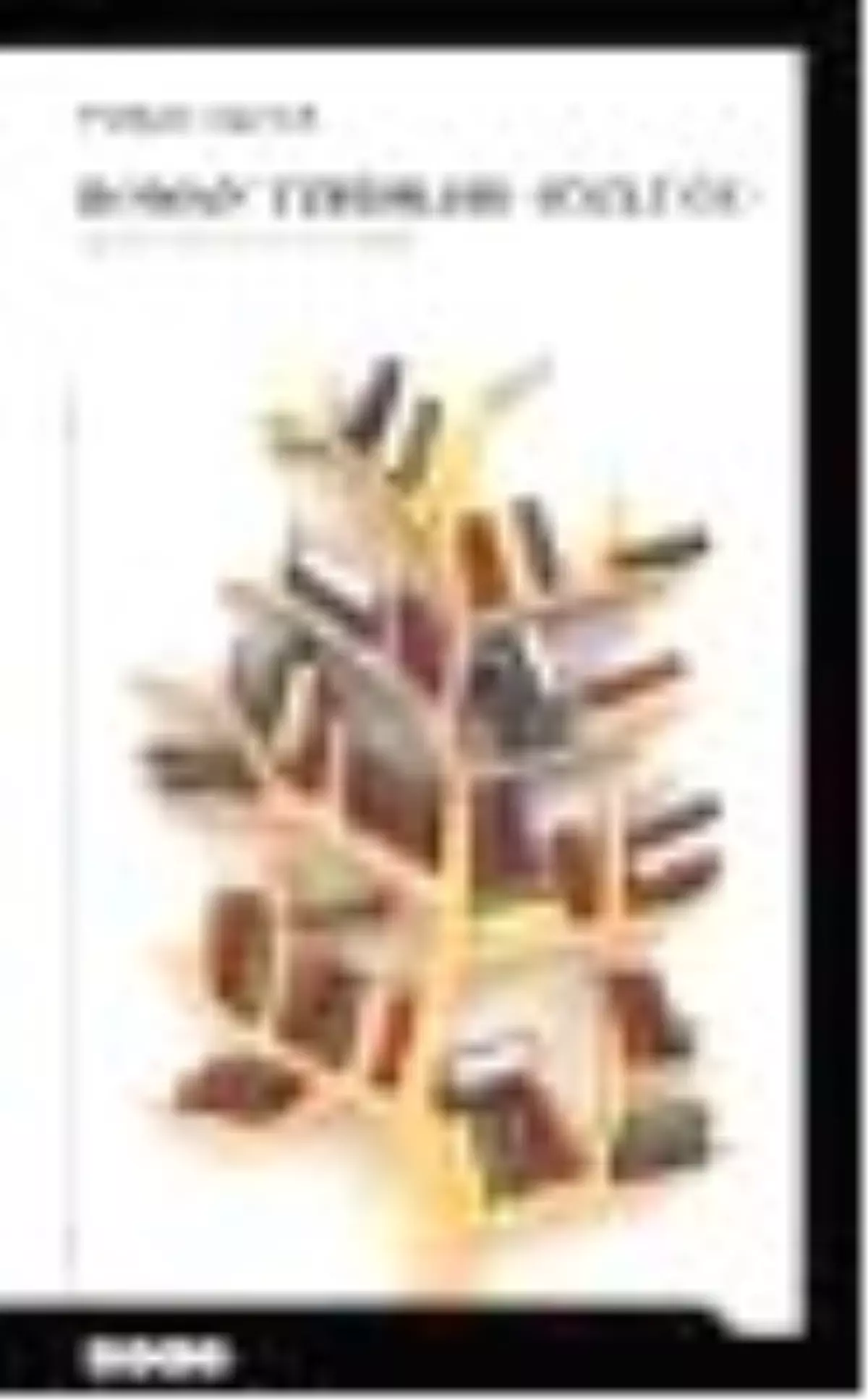 Roman Terimleri Sözlüğü Kitabı