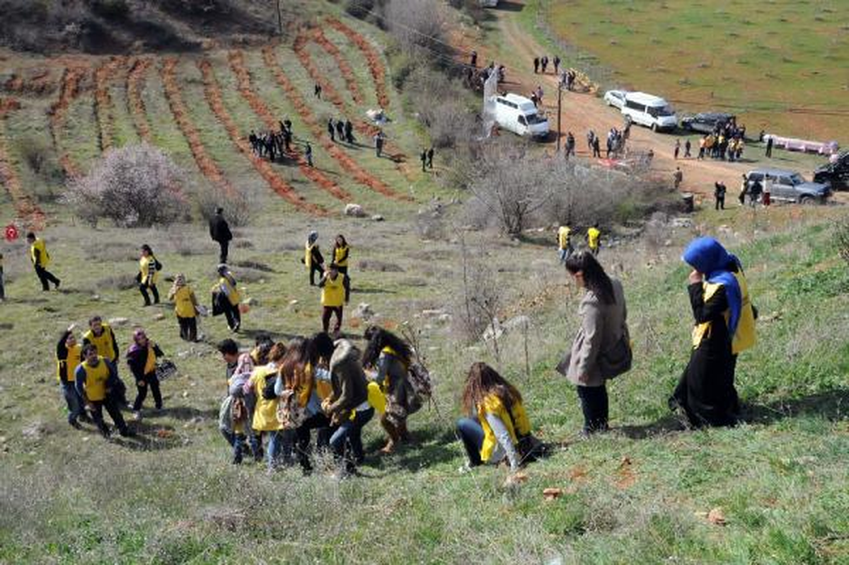 Tokat\'ta Yurtta Kalan Çocuklar İçin Fidan Dikildi