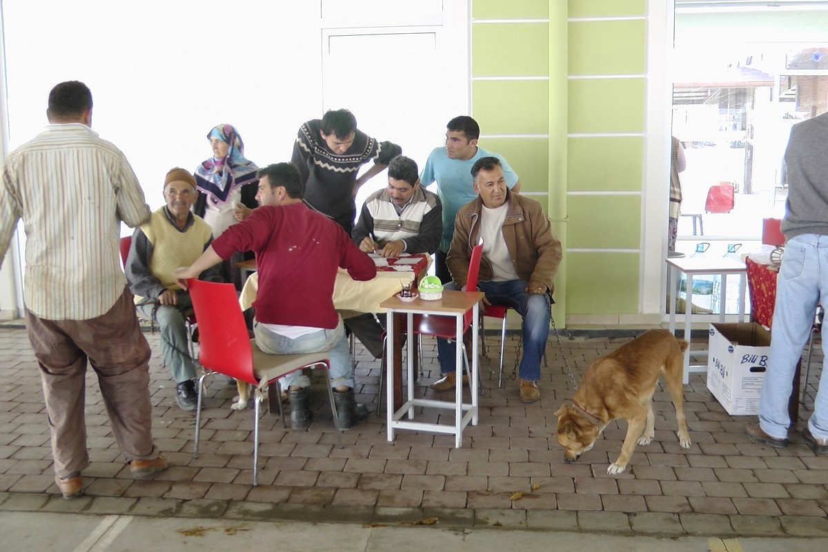 Karaçulha\'da Köpeklere Aşı Uygulaması Gerçekleştiriliyor
