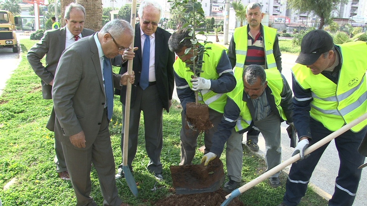 Mezitli, Turunç Fidanlarıyla Renkleniyor