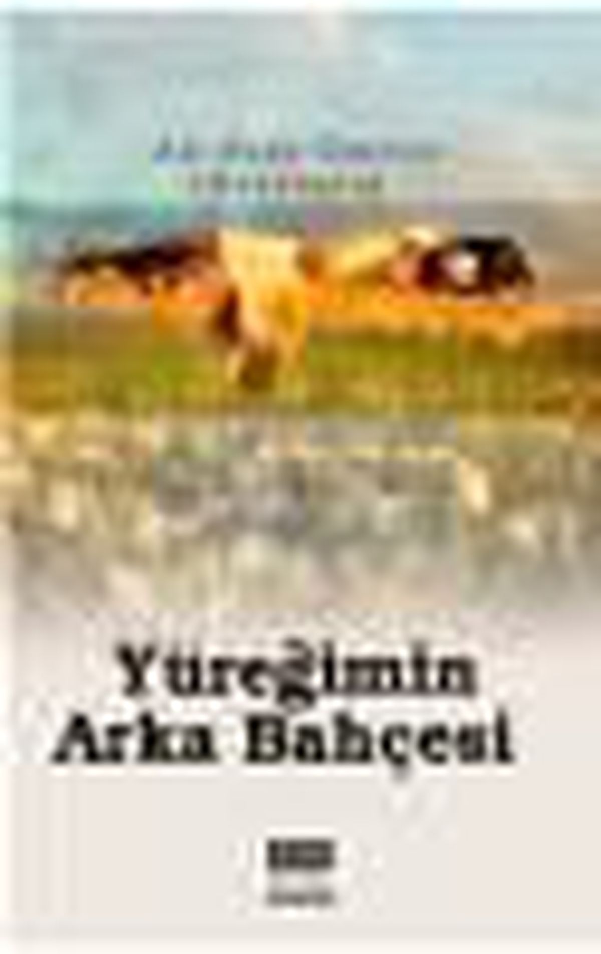 Yüreğimin Arka Bahçesi Kitabı