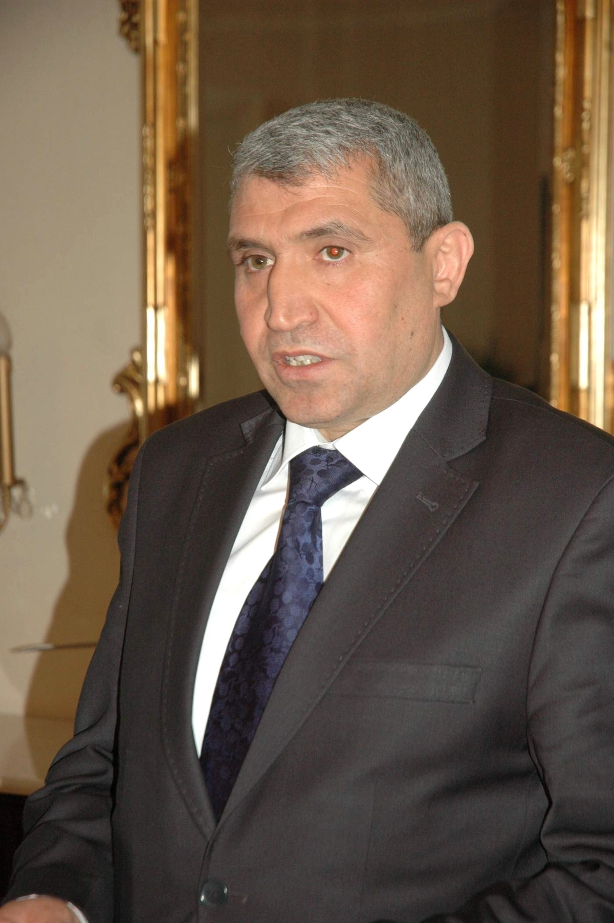 Almanya Sağlık ve Sosyal Hizmetler Grubu, Vali Daşöz\'ü Ziyaret Etti