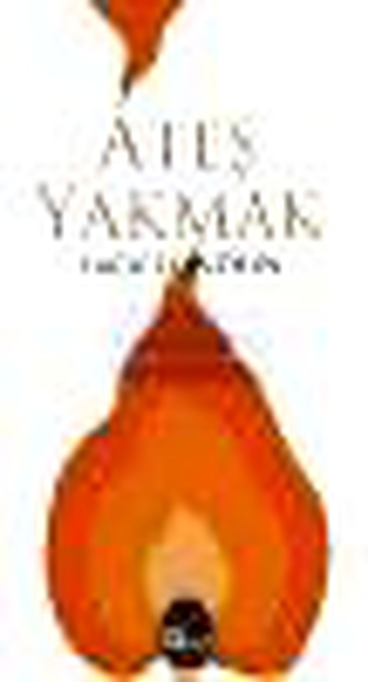 Ateş Yakmak Kitabı