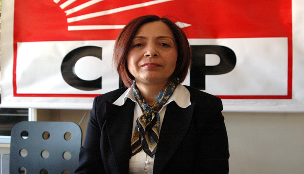 Chp\'li Yılmaz Kadın Sığınma Evlerini Sordu