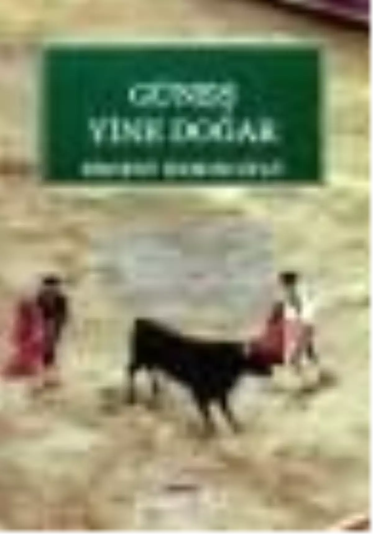 Güneş Yine Doğar Kitabı