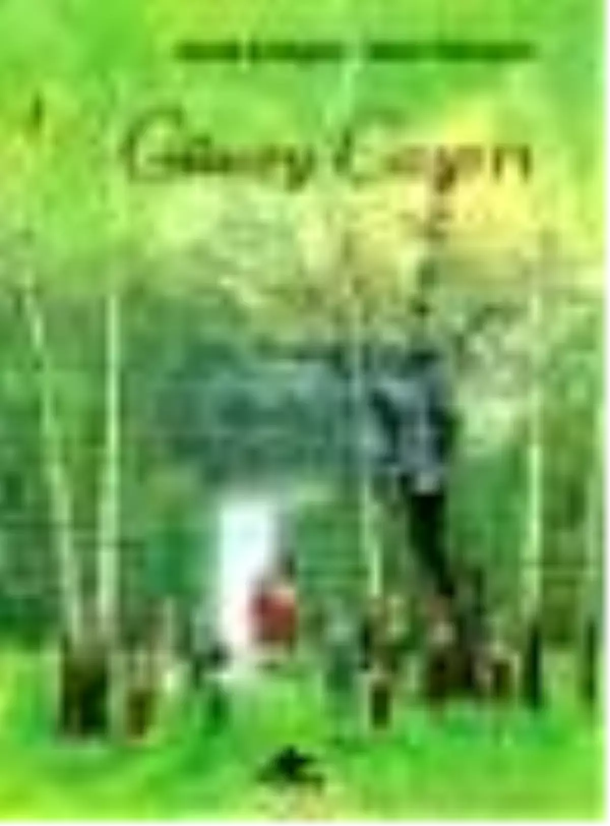 Güney Çayırı Kitabı