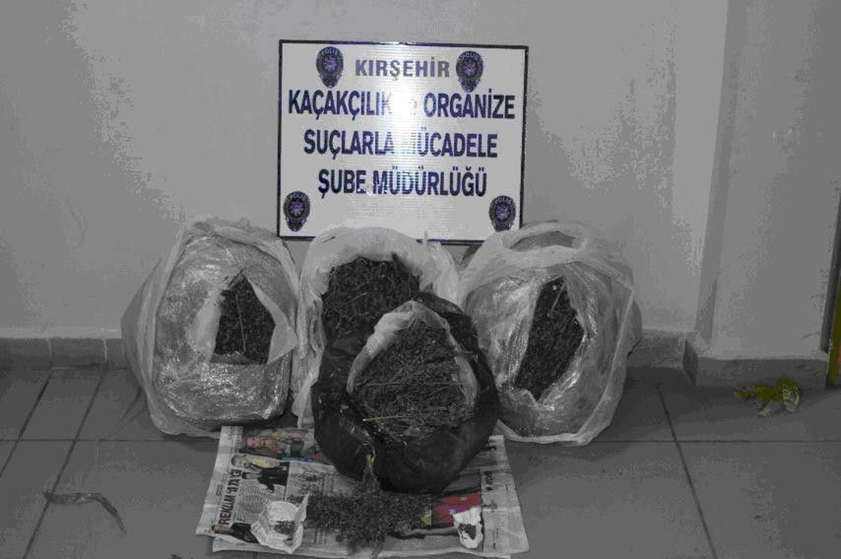 Jandarma\'dan Uyuşturucu Operasyonu