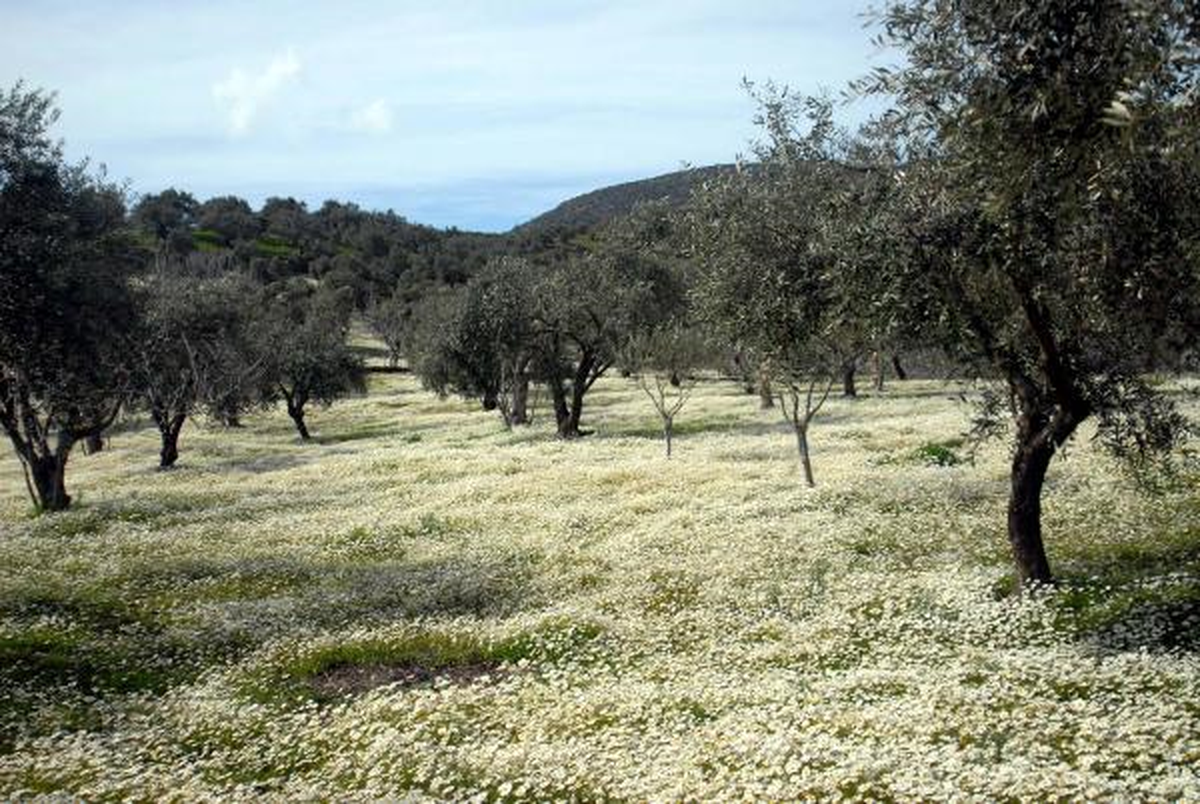 Kuşadası\'ndan Bahar Manzaraları