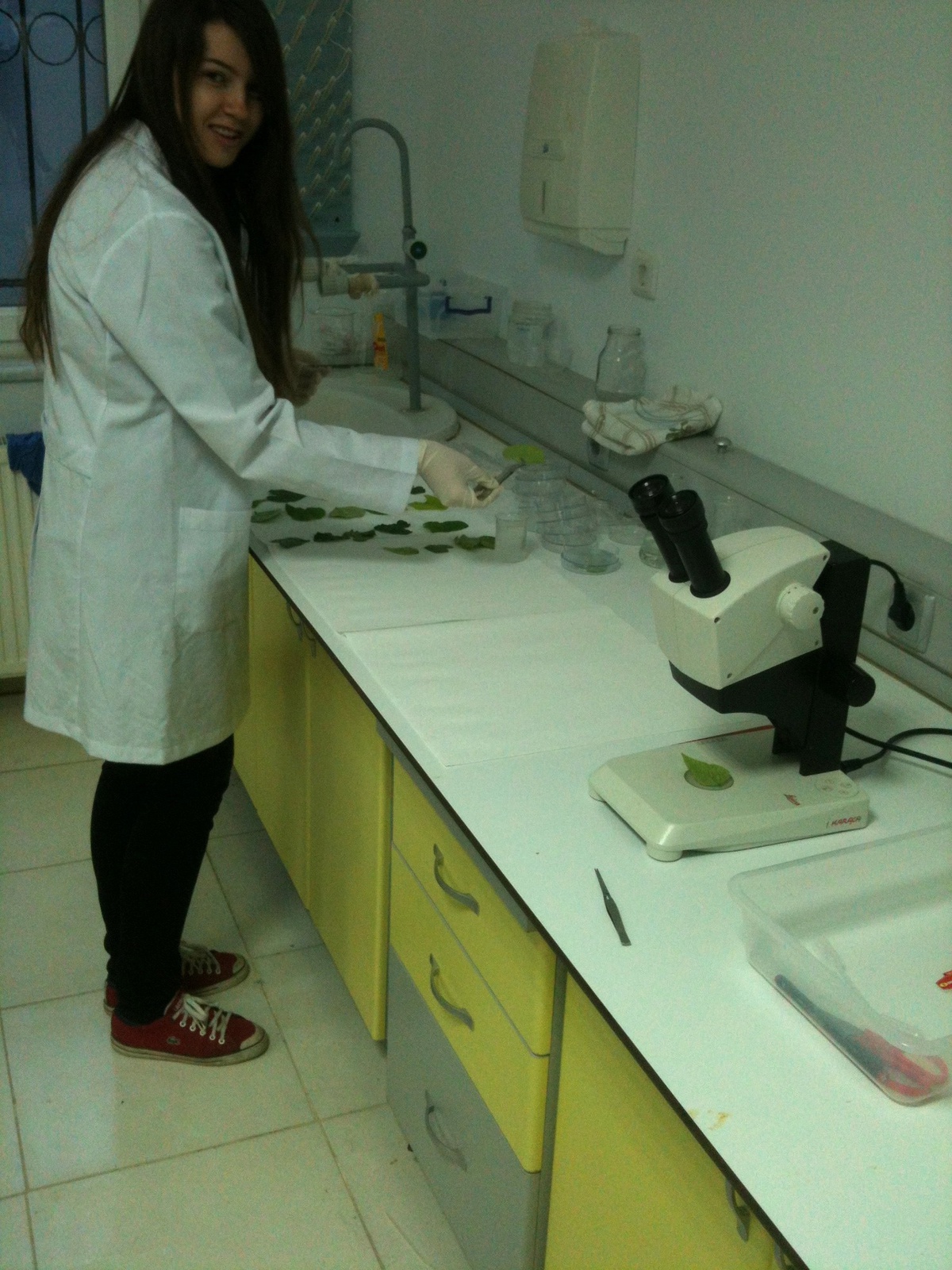Lise Öğrencisi Tarım İlacı Geliştirdi