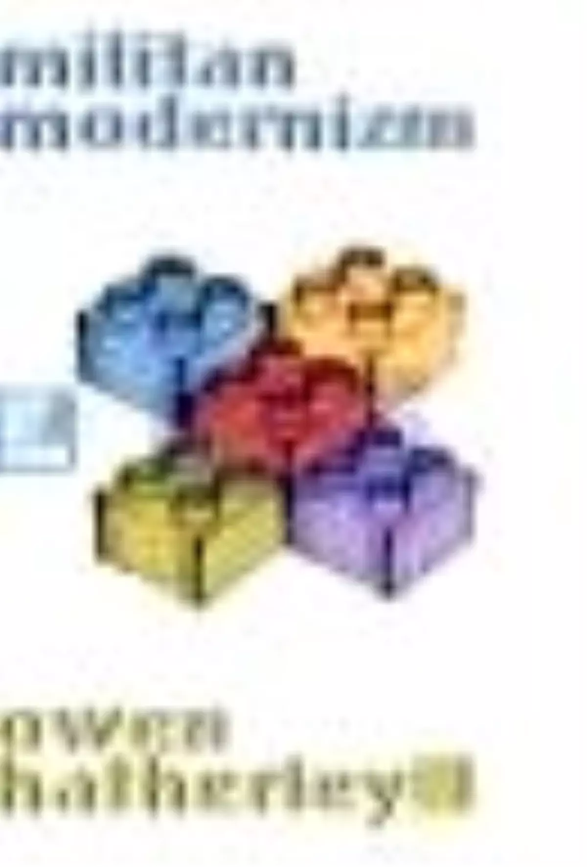 Militan Modernizm Kitabı