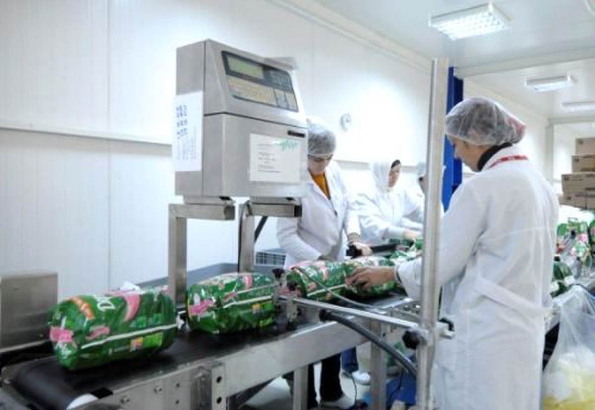 TLS Lojistik, Hijyenik Paketleme Odası Kurdu