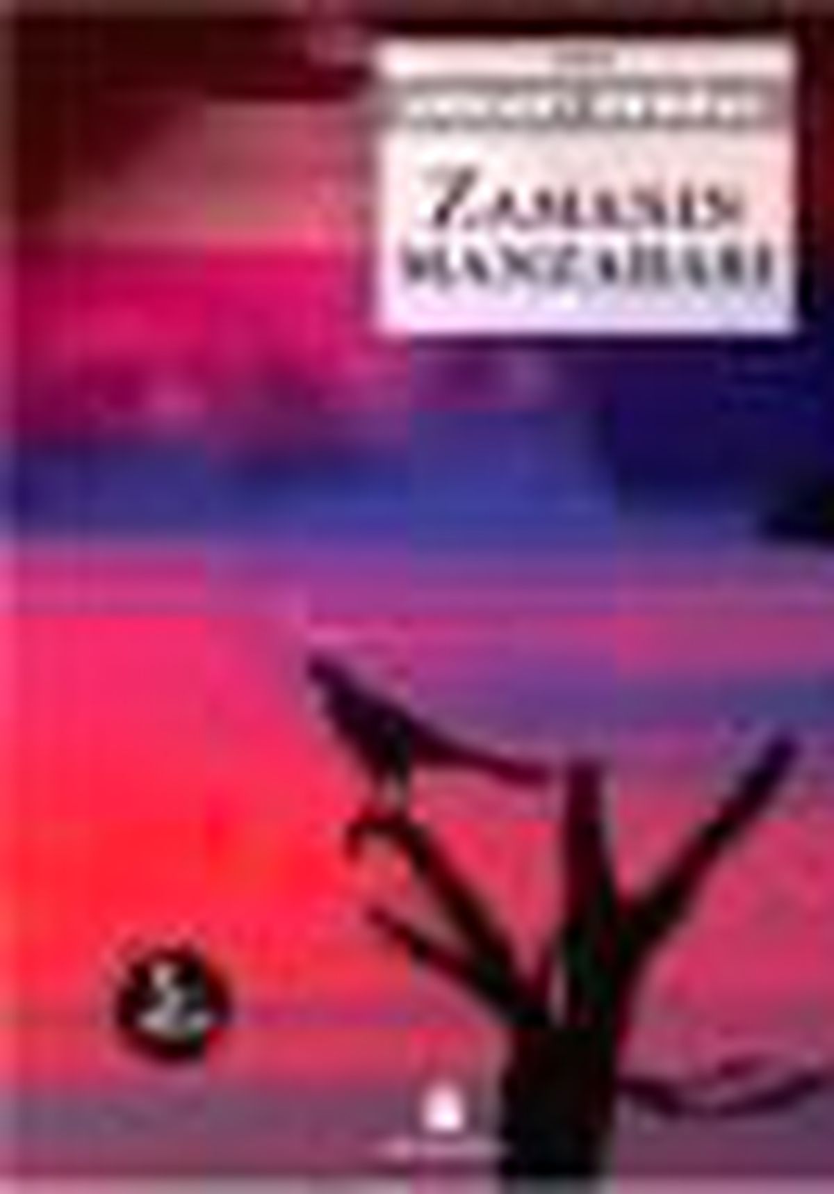 Zamanın Manzarası Kitabı