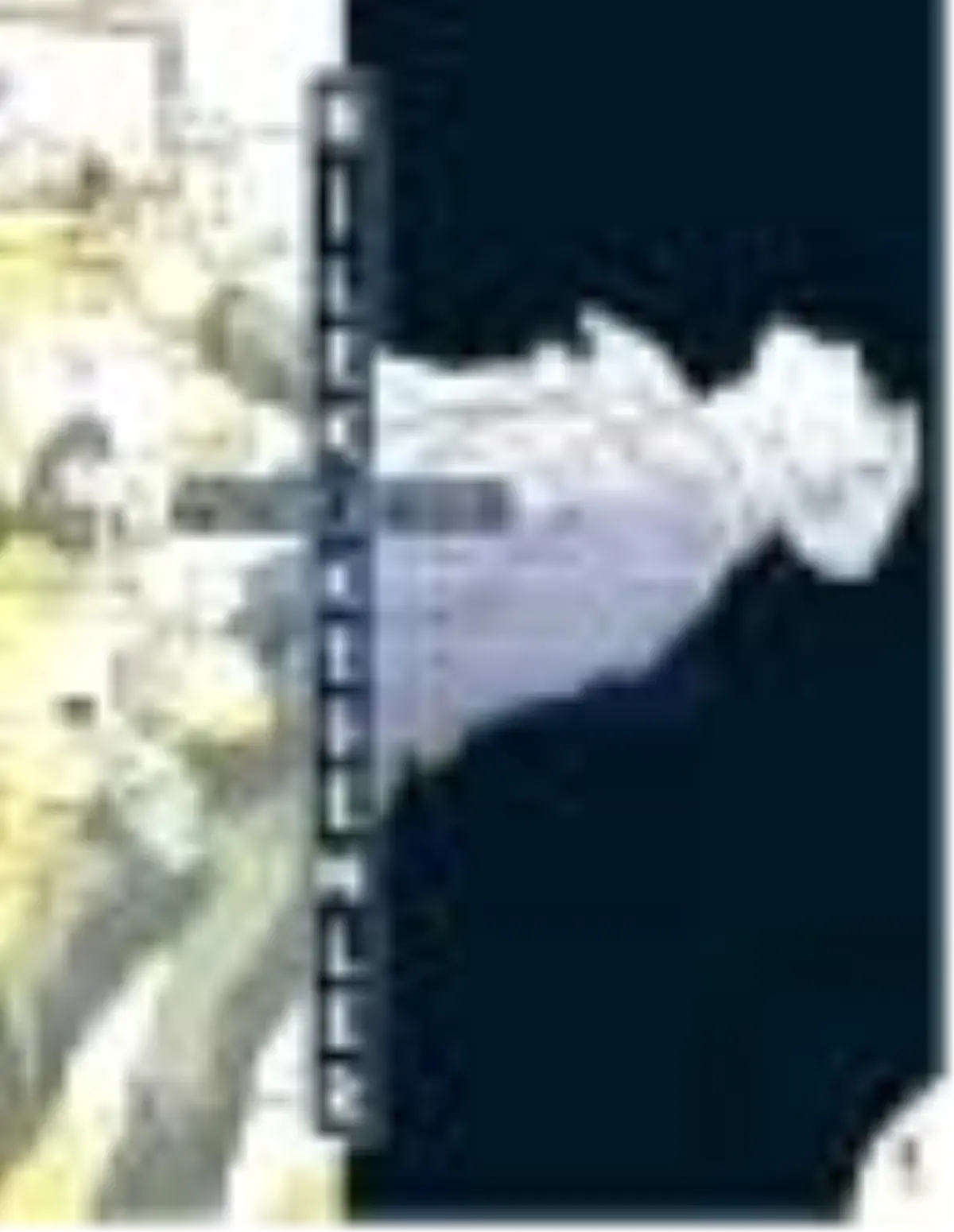 Bilek Kesenler Kitabı