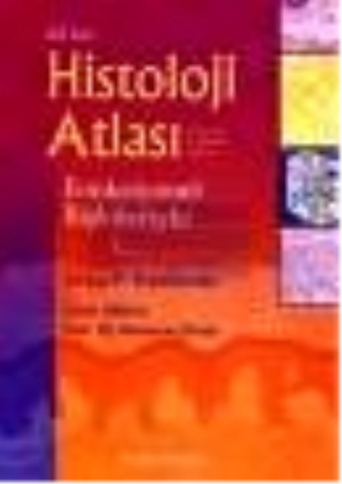 Difiore Histoloji Atlası Kitabı