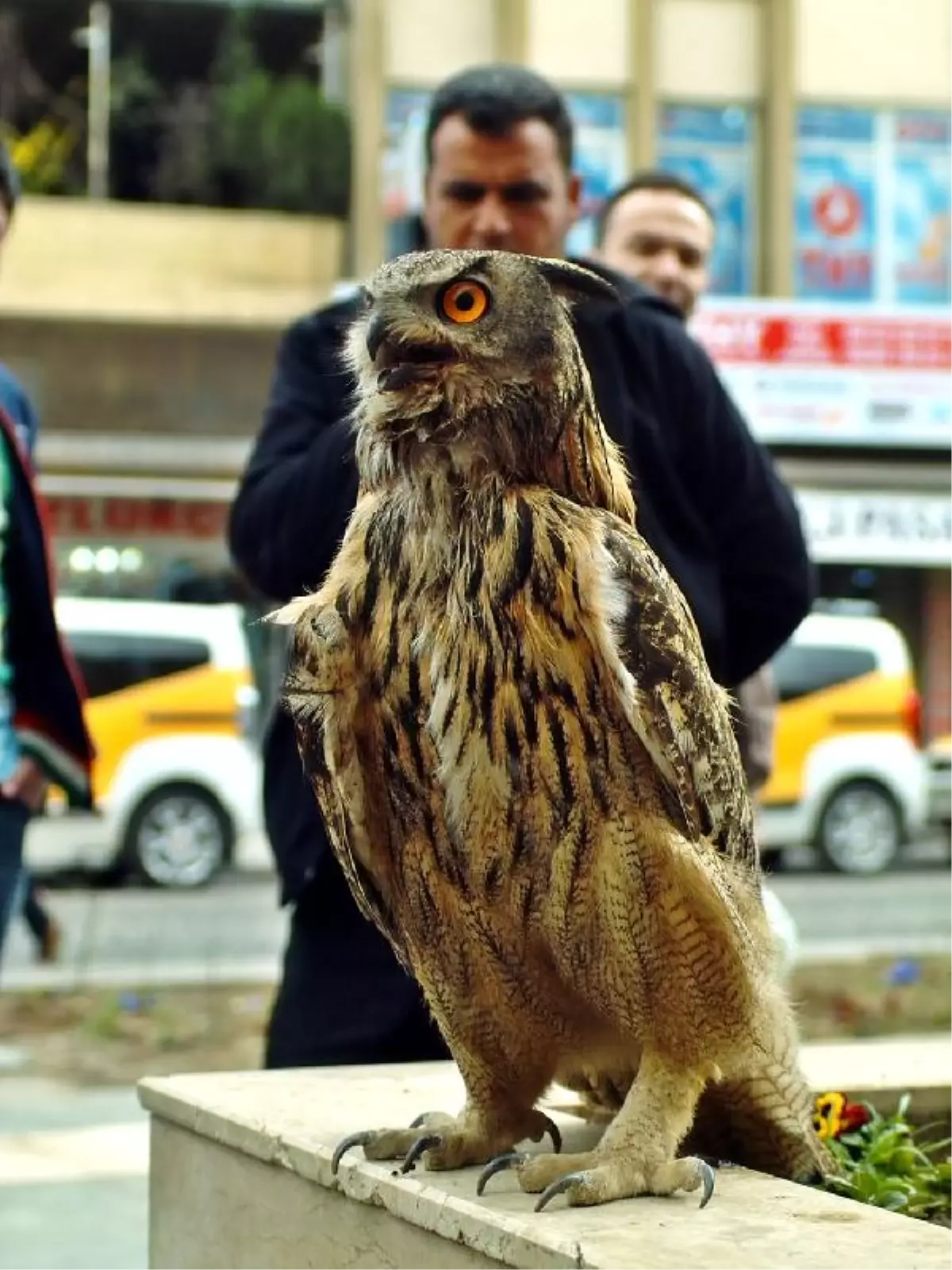 Diyarbakır Onu İlk Kez Gördü