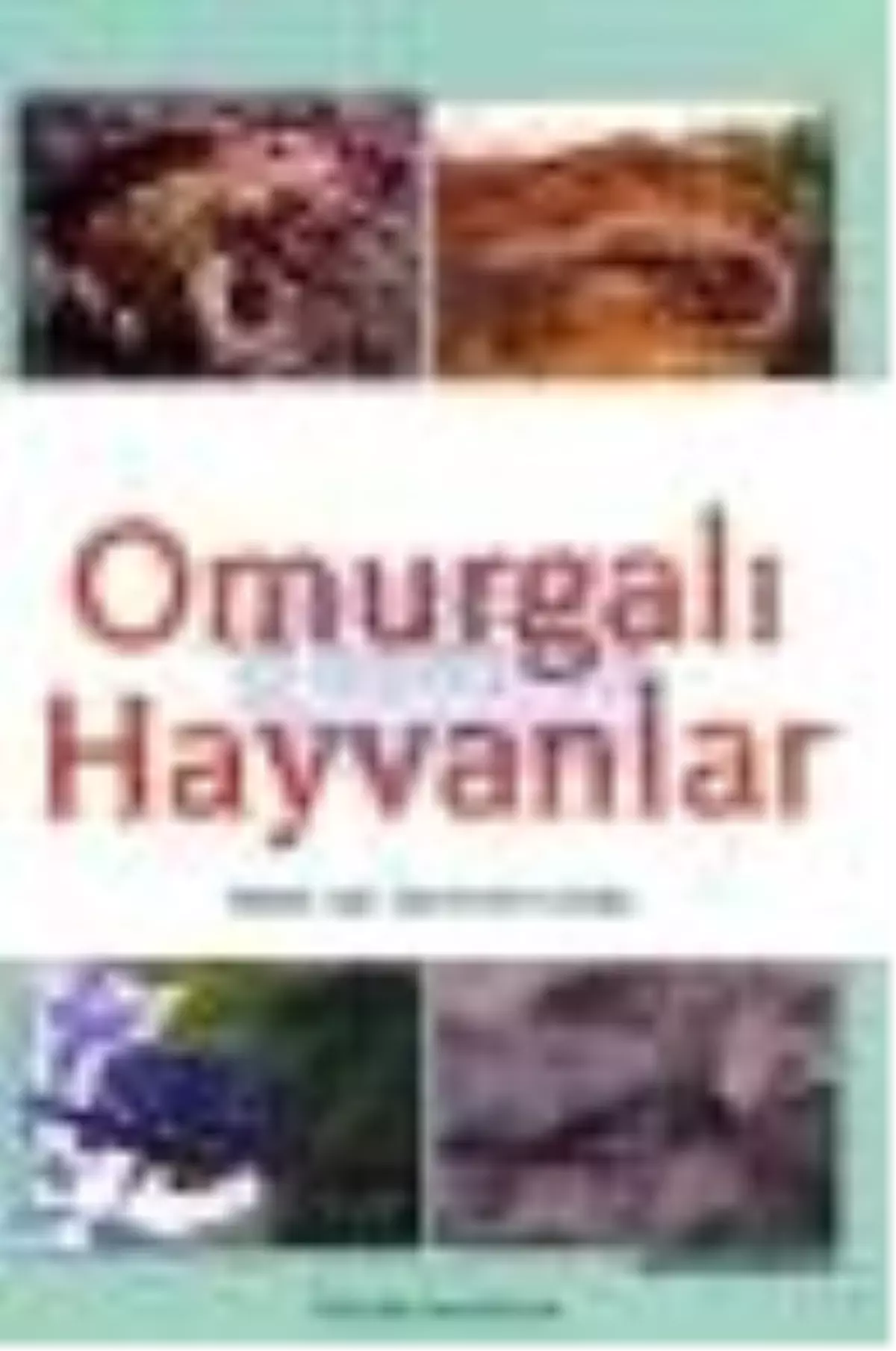 Omurgalı Hayvanlar Kitabı