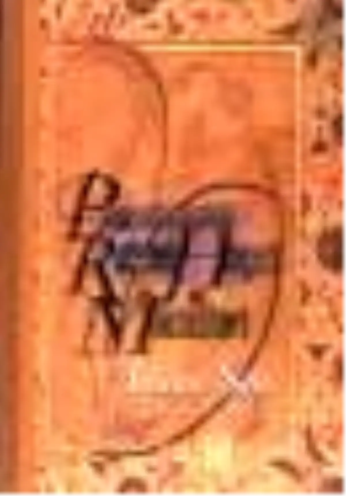 Peygamberimizin Ruhani Hayatı ve Mucizeleri Kitabı