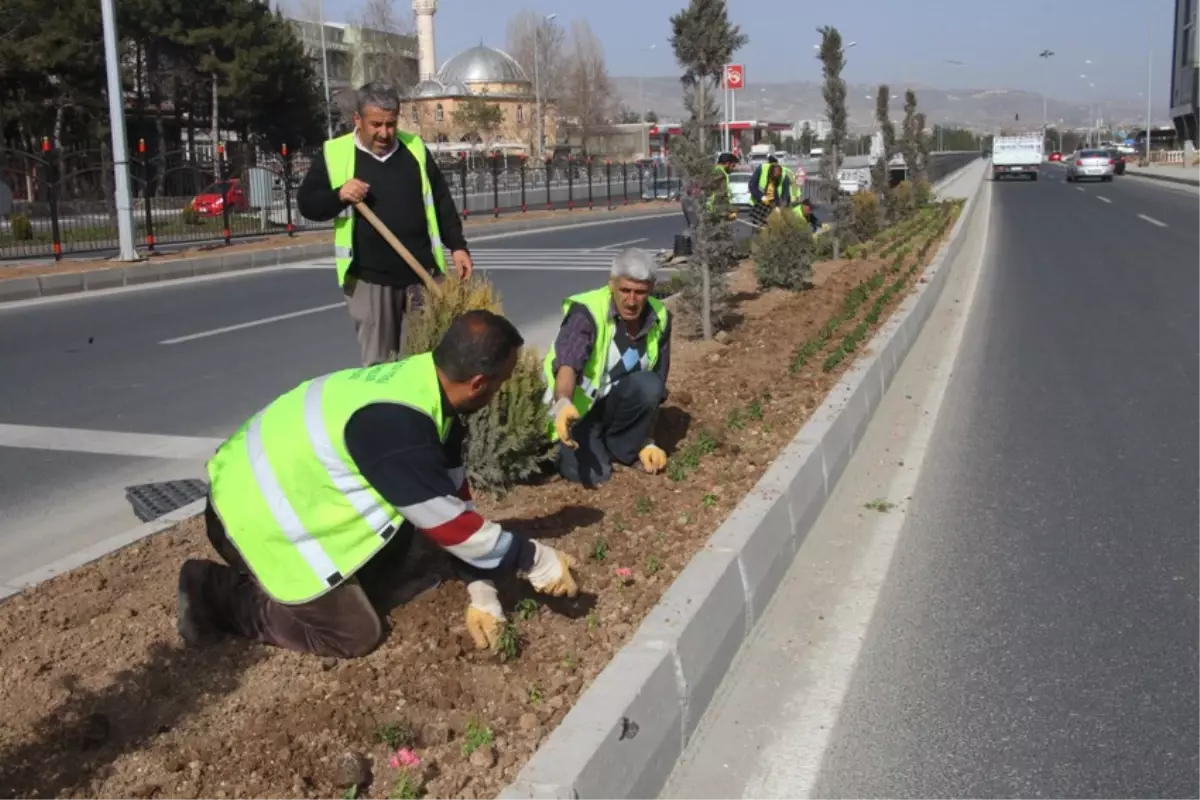 Elazığ Çiçeklerle Süsleniyor