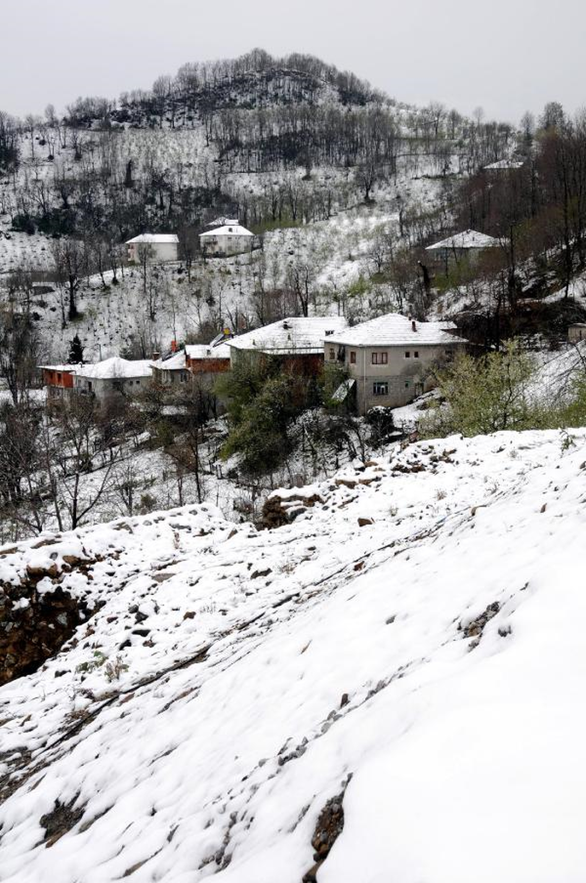 Zonguldak\'ta Yüksek Kesimlerde Kar Etkili Oldu