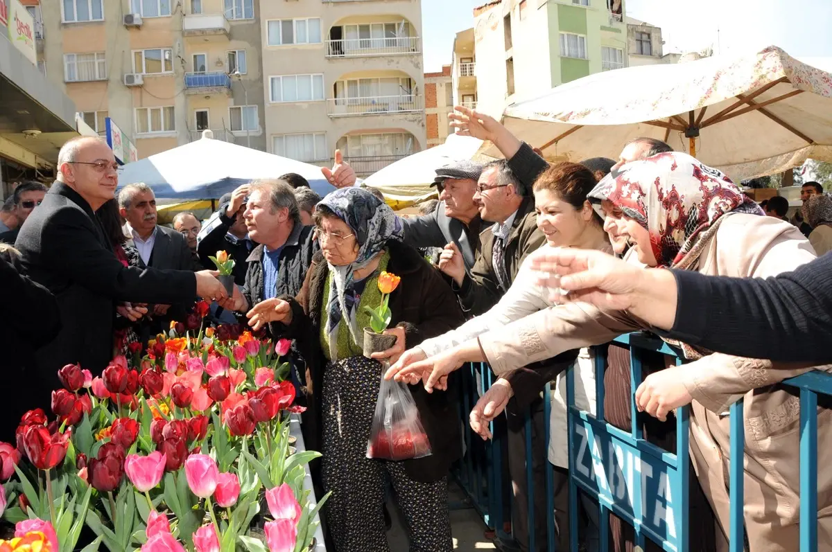 Başkan Ergün, Karaköy\'de Lale Soğanı Dağıttı