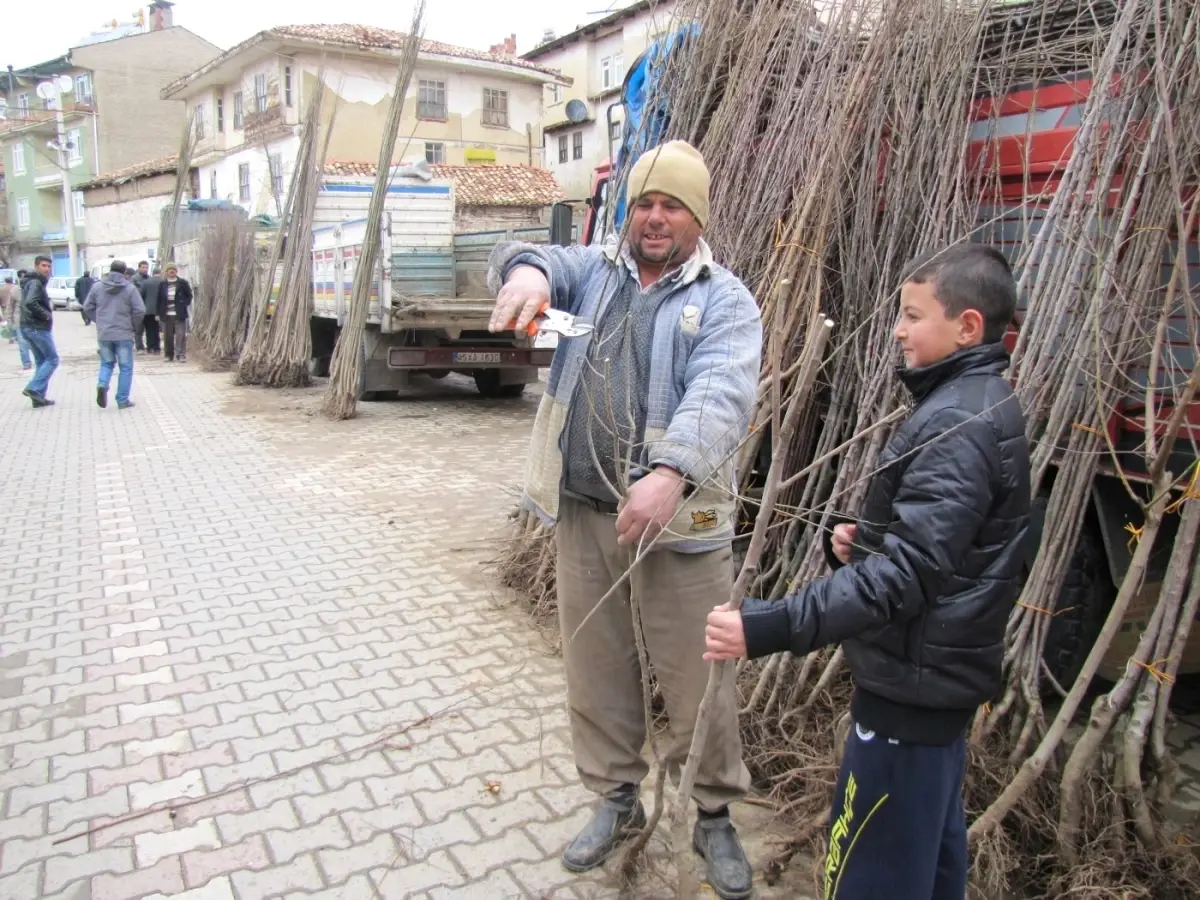 Fidan Satıcıları Dertli