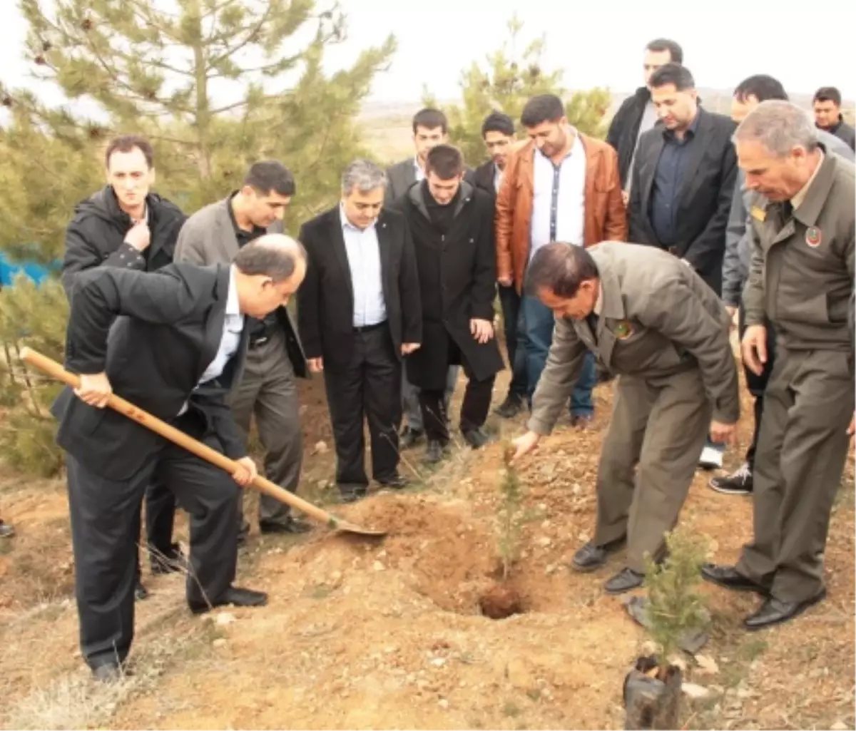 Gençlerden "Şehitler Hatıra Ormanı"