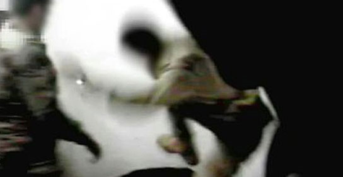 İspanyol Askerlerin 'Irak' İşkencesi