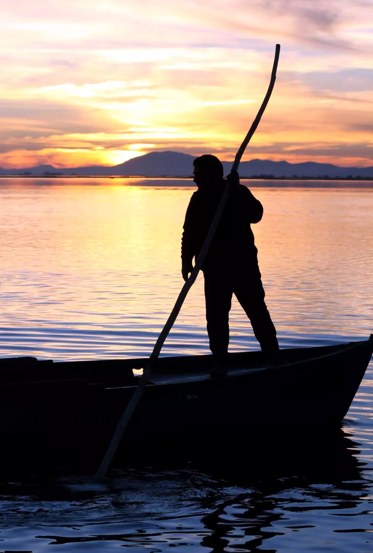 Obaf Açık Denizlerdeki Ticari Balıkçılığın Üç Yıl Yasaklanmasını İstiyor
