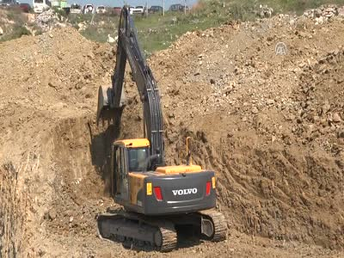 Ağaç Dalıyla Define Arıyor