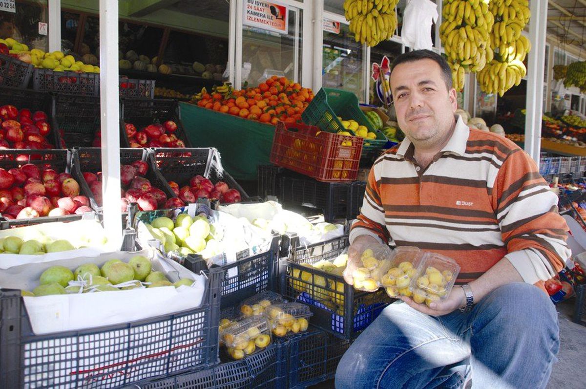 Kavun ve Yeni Dünya Tezgahta
