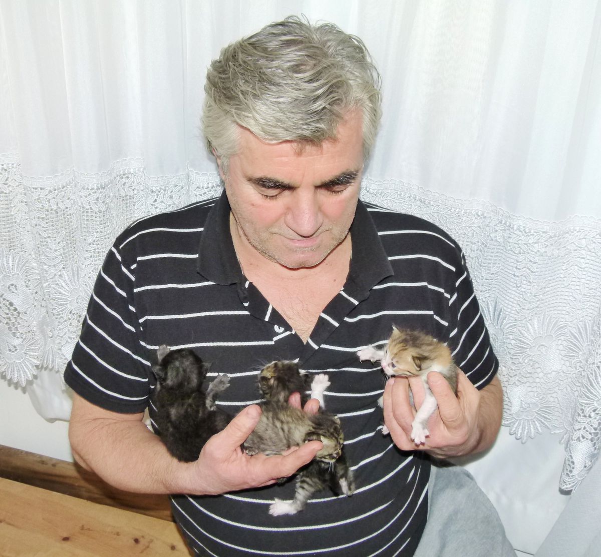 Kedileri Gidene Kadar Eşi Gelmeyecek