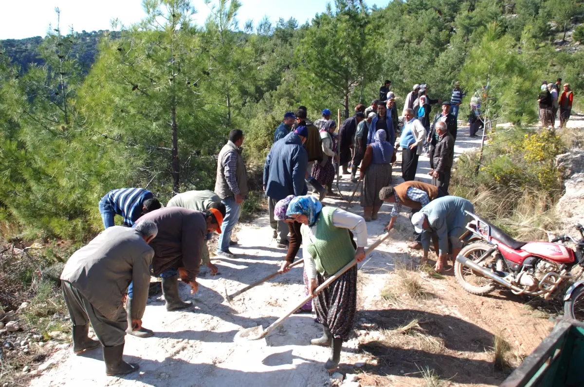 Köylüler Yolu Açtı, Milletvekili Geçti