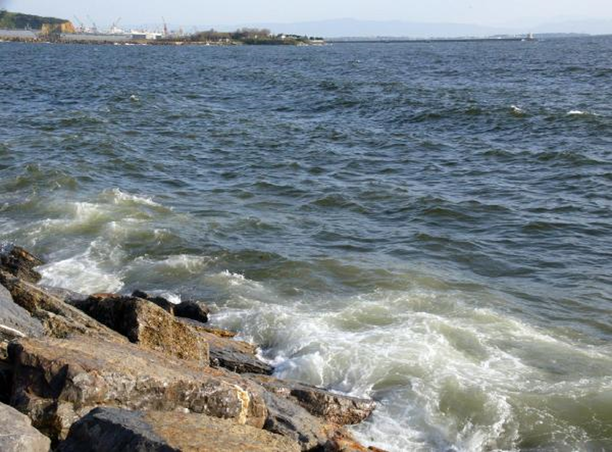 Pendik\'te Denize Düşen Bir Kişi Kayboldu