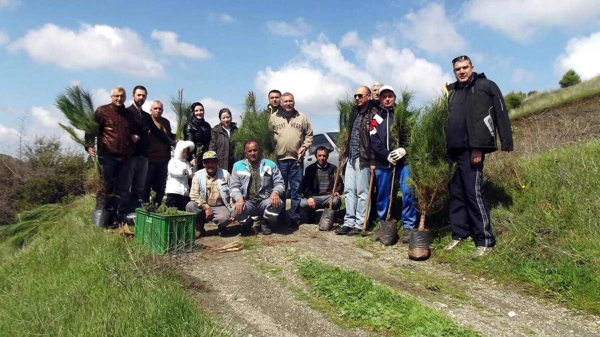 Salihli Türk Ocağı 100. Yıl Hatıra Ormanı\'na Çam Fidanı Dikildi