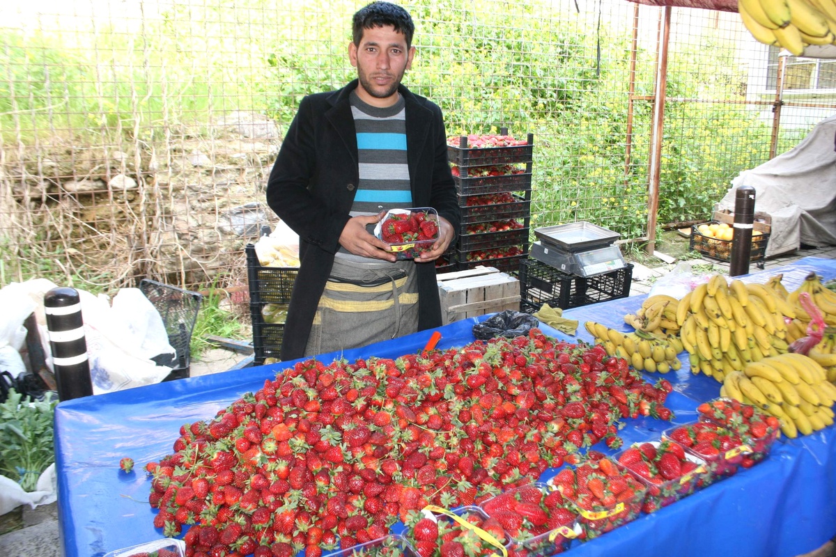 Aydın\'da Bahar Meyveleri Tezgahlarda Yerini Aldı