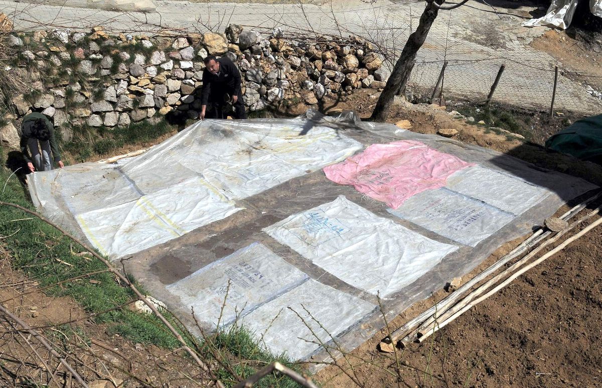 Çelikhan Tütün Üreticileri Fide Dikimine Başladı