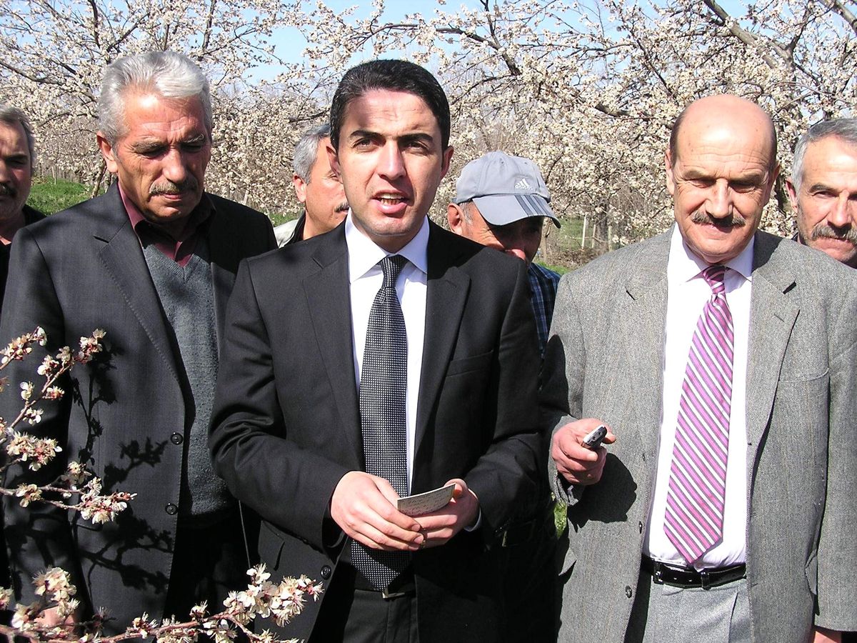 CHP\'liler, Dondan Zarar Gören Kayısı Bahçesinde İnceleme Yaptılar