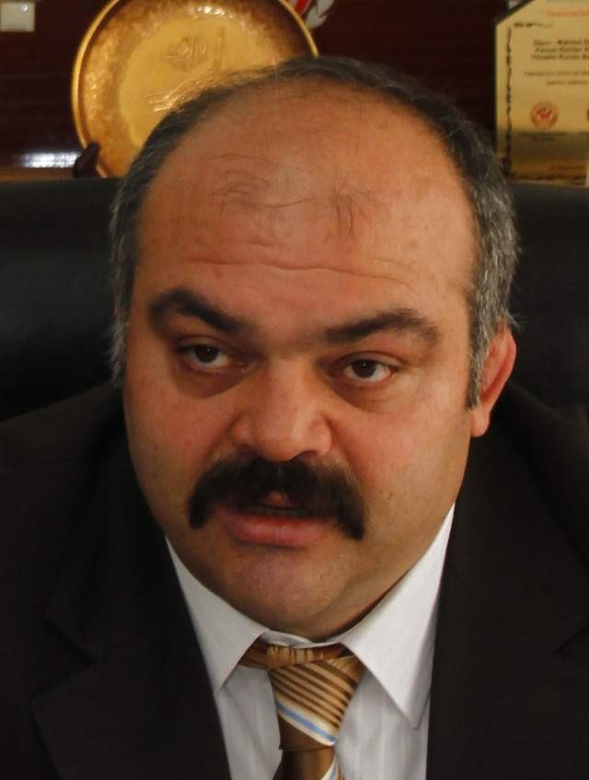 Mahmut Demir'den Fıla'ya Güreşi Ayağa Kaldıracak Öneriler