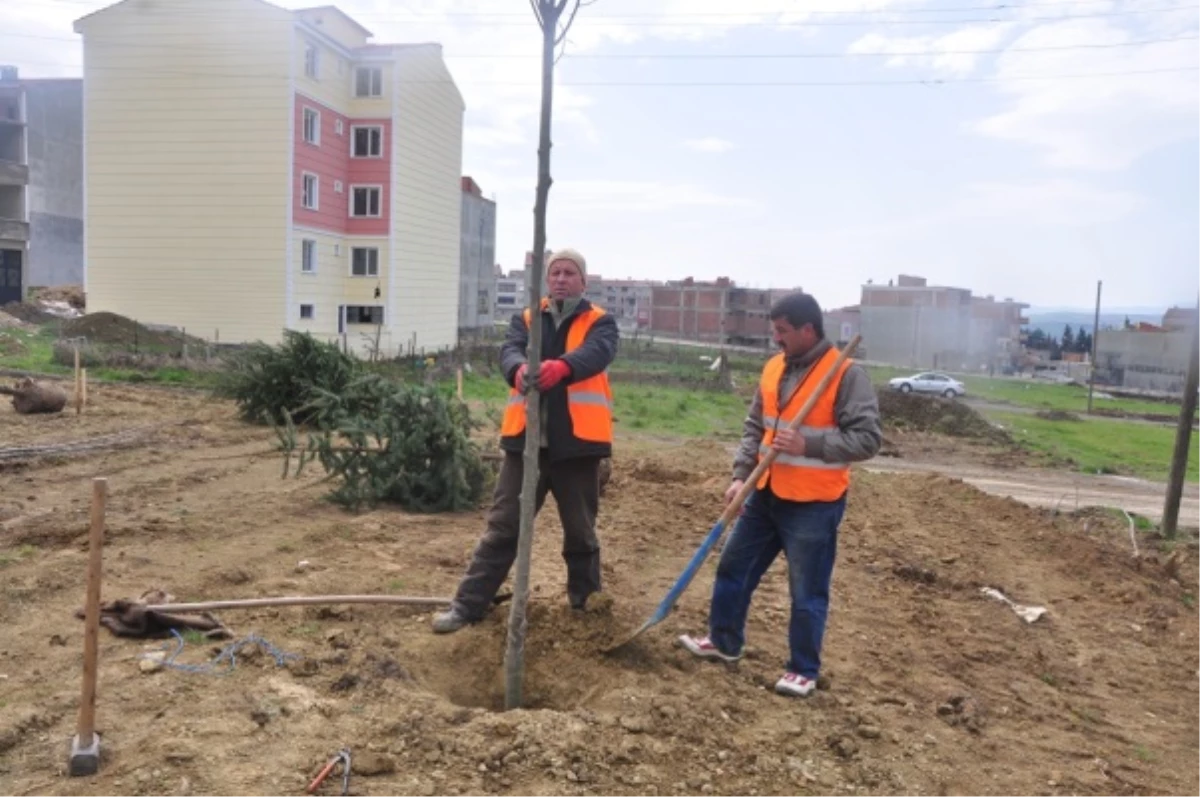 Projelendirilen 2 Adet Çocuk Parkı Hizmete Açılacak