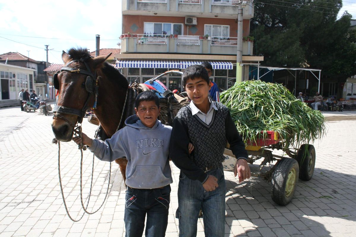 Saman Sıkıntısı Kimini Üzdü Kimini Sevindirdi
