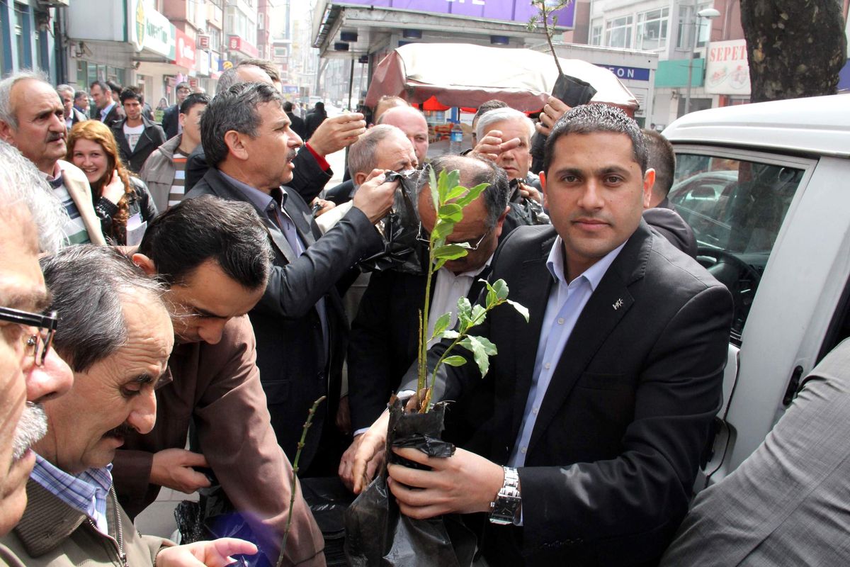 AK Parti Fidan Dağıttı