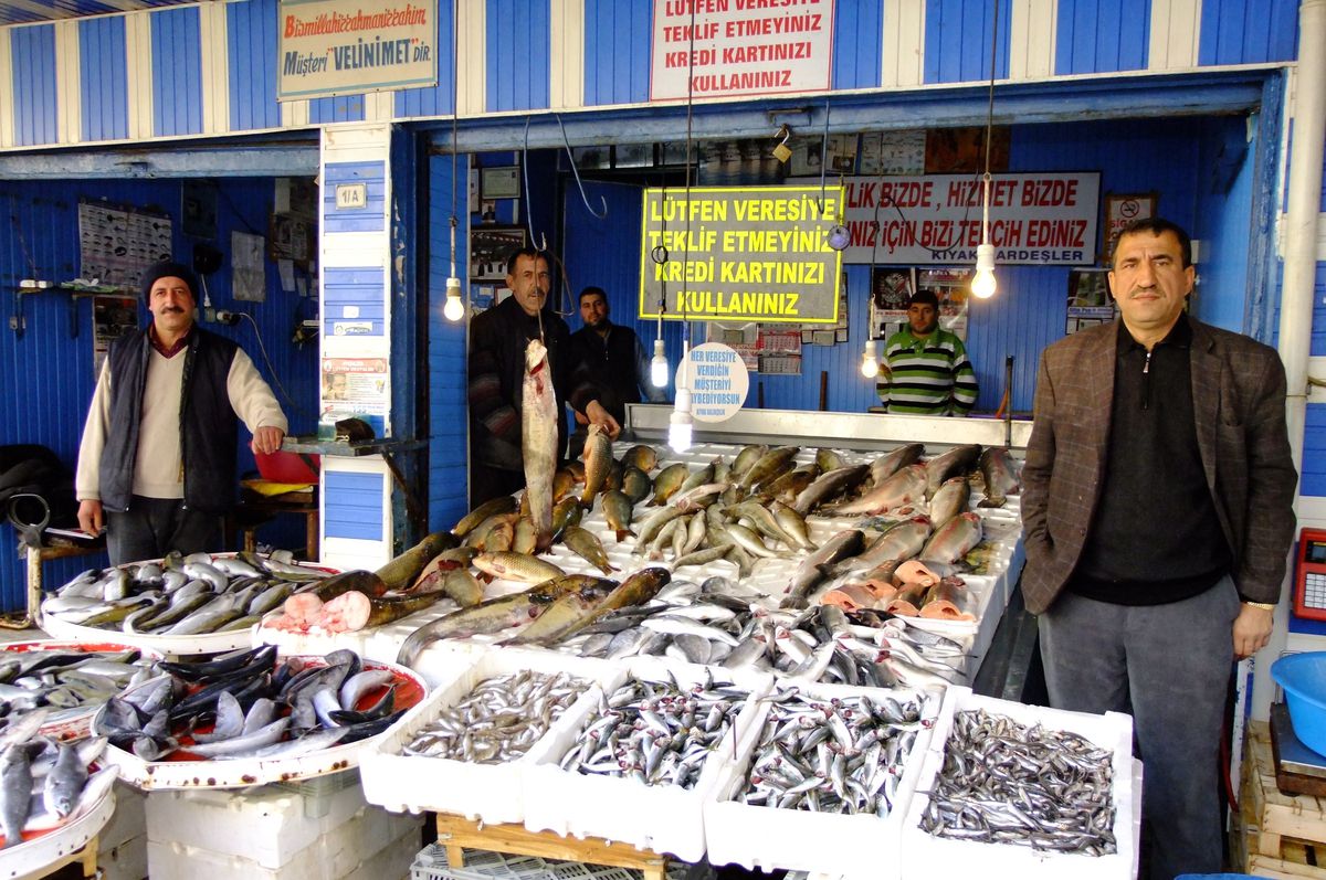 Bafra\'da Tezgahlarda Balık Bollaştı