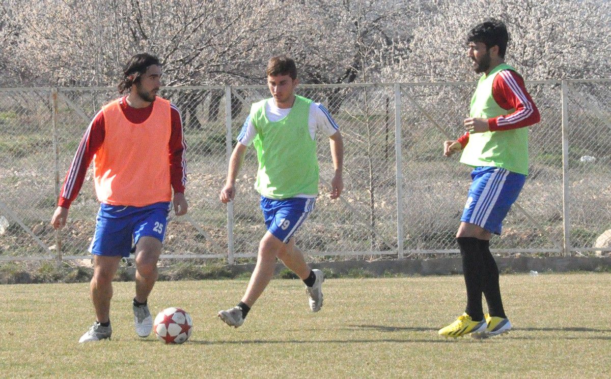 Bal Ligi