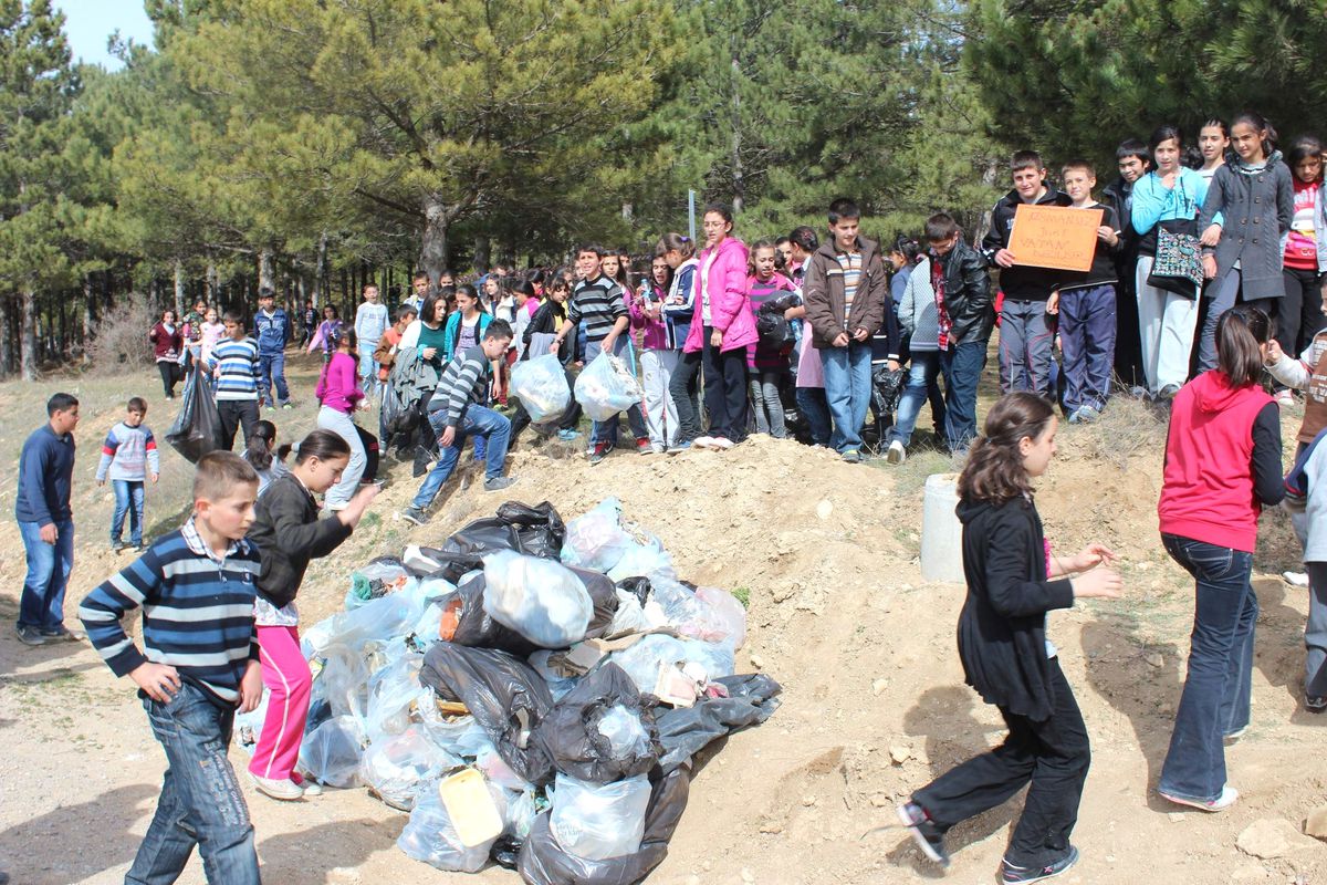 Ormanlık Alanda Utandıran Manzara