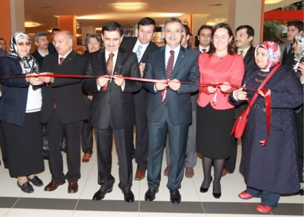 Cennet Çiçekleri Açıldı