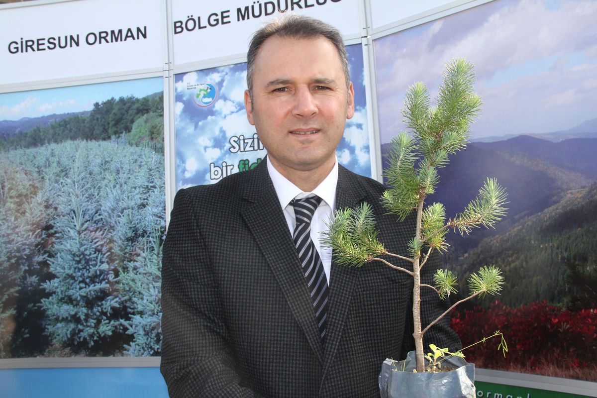Giresun\'da Bin Adet Fidan 10 Dakikada Dağıtıldı