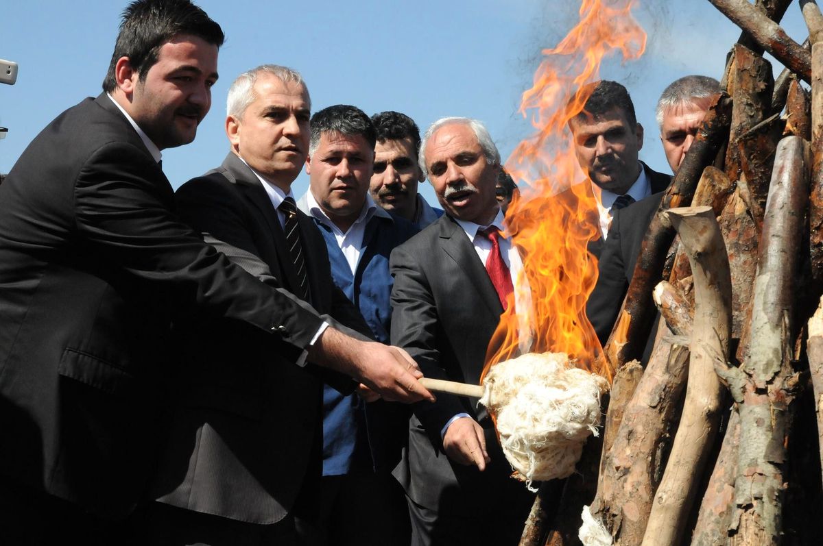 Nevruz Kutlamaları
