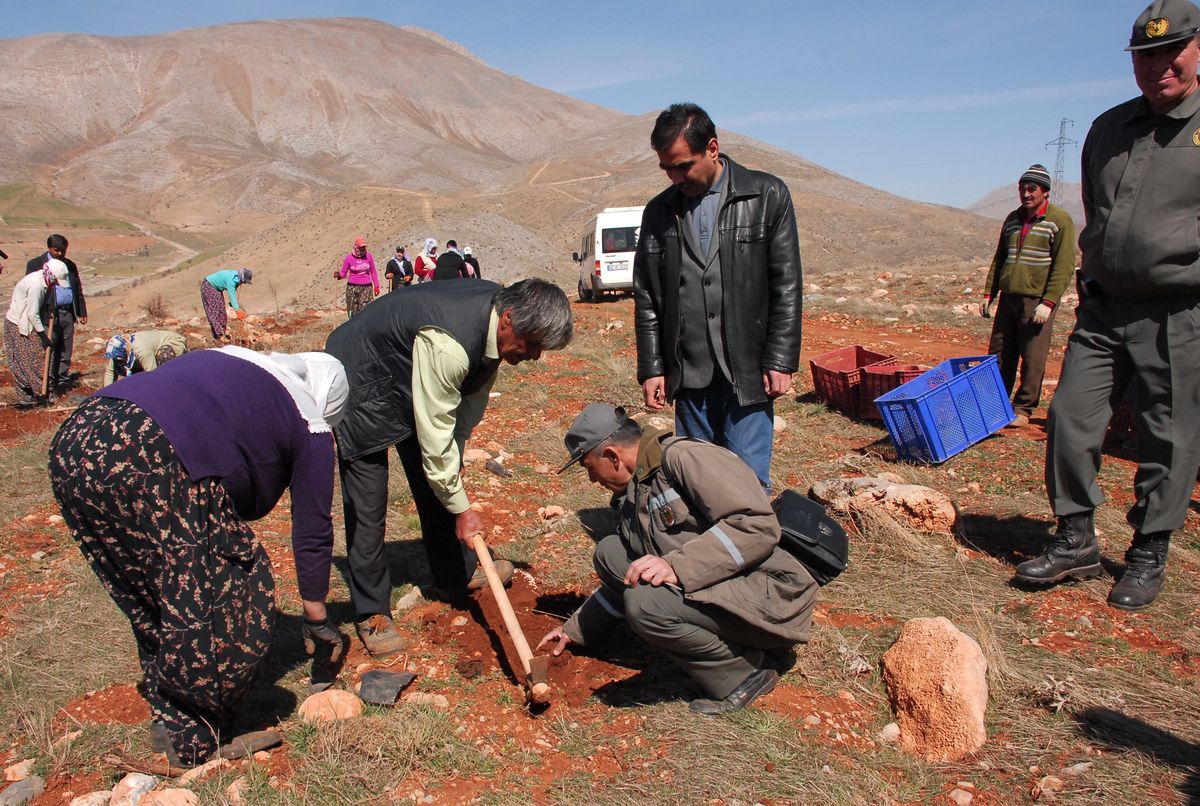 Şardağı Projesine 1 Milyon Fidan Daha
